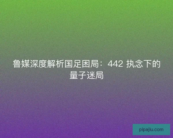 鲁媒深度解析国足困局：442 执念下的量子迷局