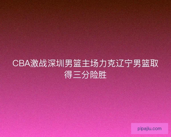CBA激战深圳男篮主场力克辽宁男篮取得三分险胜