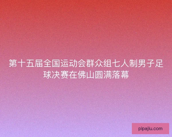 第十五届全国运动会群众组七人制男子足球决赛在佛山圆满落幕