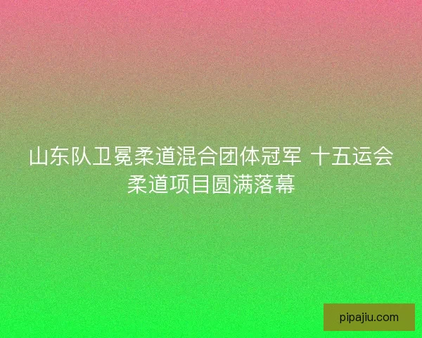 山东队卫冕柔道混合团体冠军 十五运会柔道项目圆满落幕