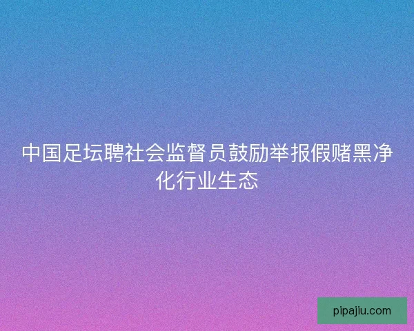 中国足坛聘社会监督员鼓励举报假赌黑净化行业生态