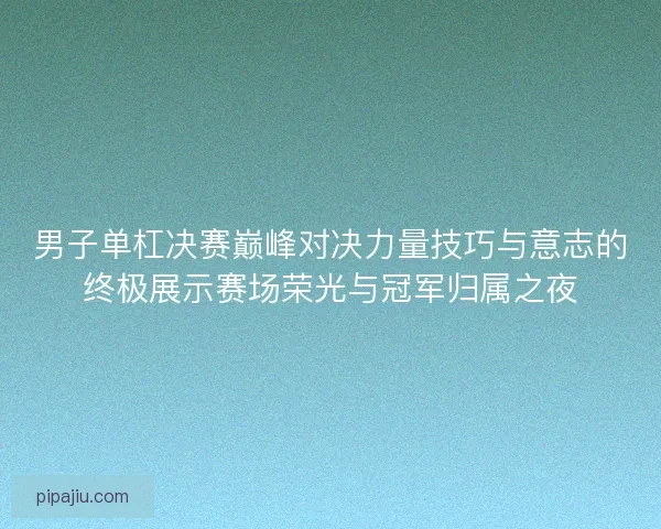 男子单杠决赛巅峰对决力量技巧与意志的终极展示赛场荣光与冠军归属之夜