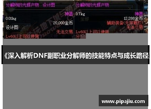 《深入解析DNF副职业分解师的技能特点与成长路径》