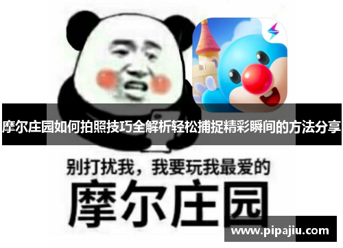 摩尔庄园如何拍照技巧全解析轻松捕捉精彩瞬间的方法分享